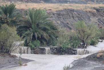 سردشت بشاگرد پربارش ترین ایستگاه  استان هرمزگان در بهار کم بارش 1402 