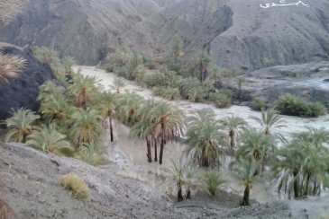 هشدار جوی زرد شماره 9